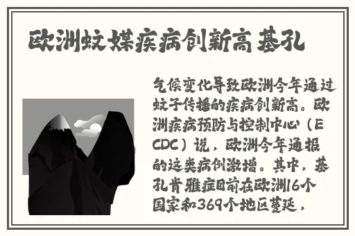 51黑料不打烊